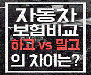  인터넷 자동차보험료비교견적사이트 저렴하니 좋아요.