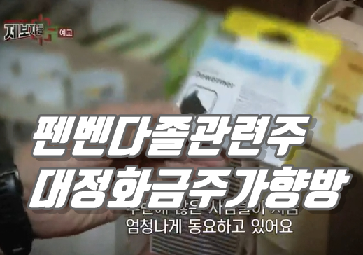  폐암말기 김철민 복용 펜벤다졸 관련주 대정화금 주가는 조정중