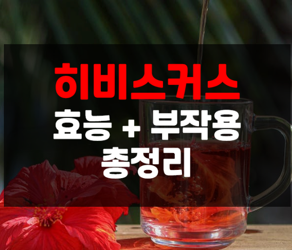  히비스커스 8가지 효능과 부작용 총정리