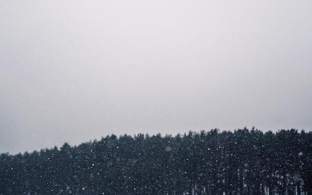 일반암 종류