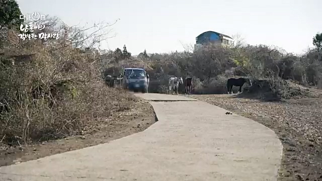 [189회] 다큐온 - KBS남훈 씨의 각별한 말 사랑] 연평균 1400여 마리의 경주마들이 경마장을 떠나 퇴역 경주마가 된다.ts_20230330_211149.400.jpg