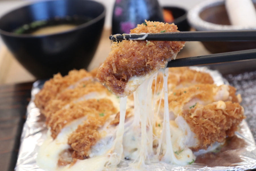 돔 종류이름 극찬했던 일산 20