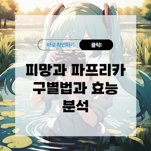 피망과 파프리카 차이점 및 구별법, 효능 알아보기