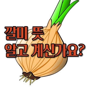  깔미 뜻 알고 쓰시나요?