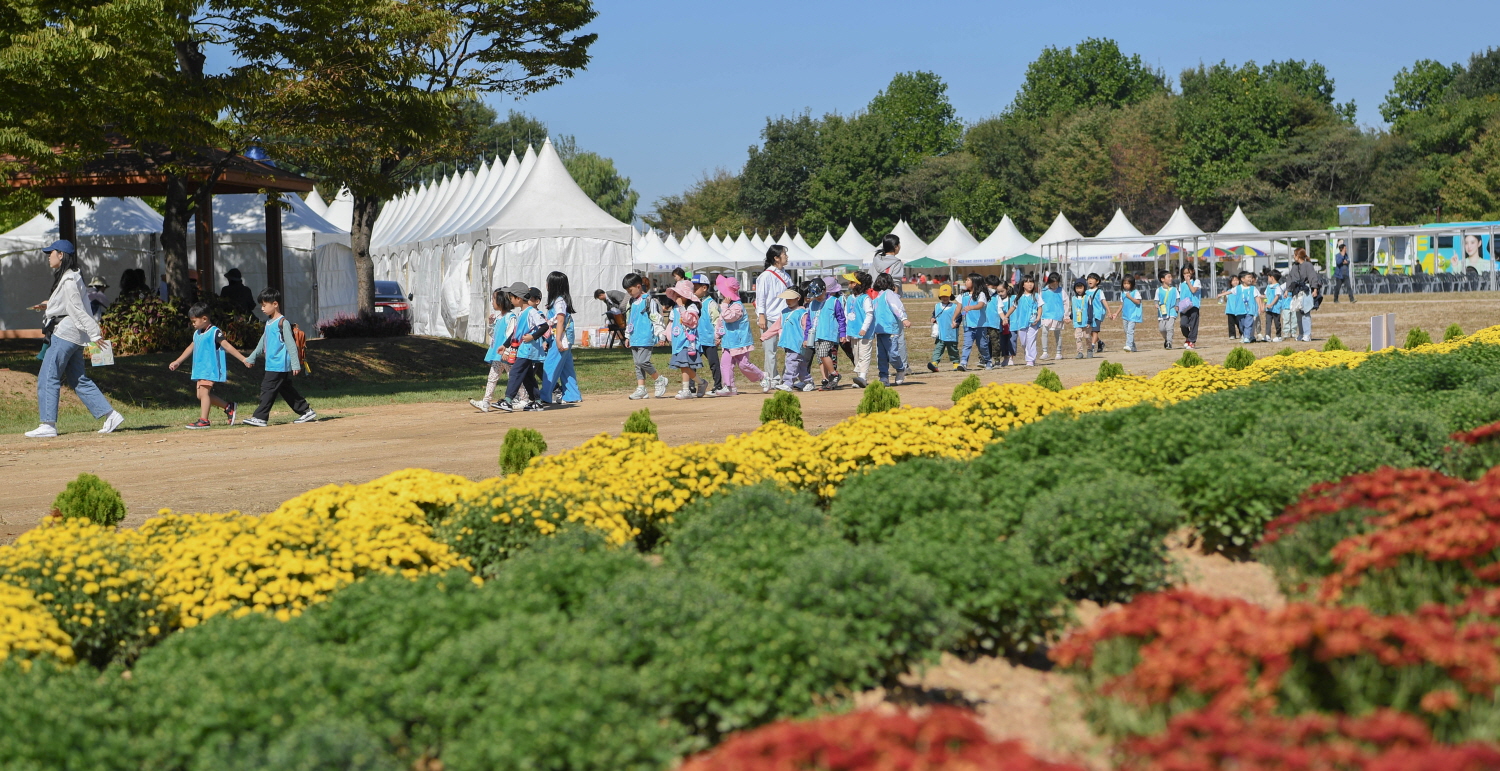 드리파크 국화축제