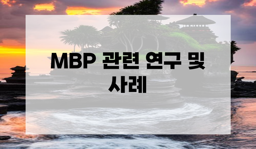 MBP 관련 연구 및 사례