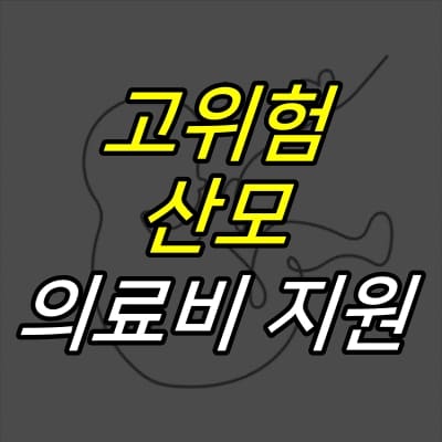 태아-그림-위에-고위험-산모-의료비-지원-글자가-적혀있다.