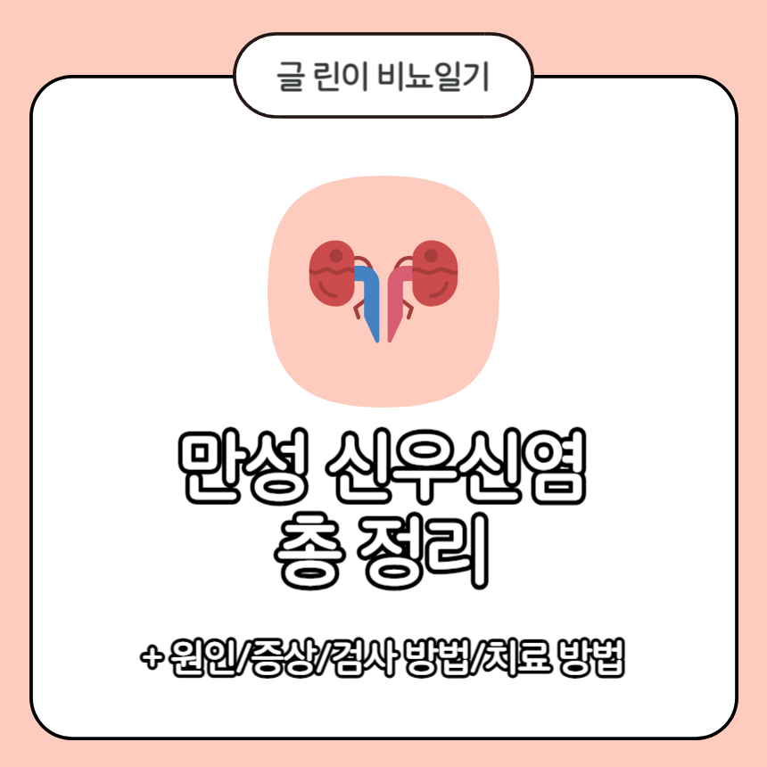  만성 신우신염 총 정리