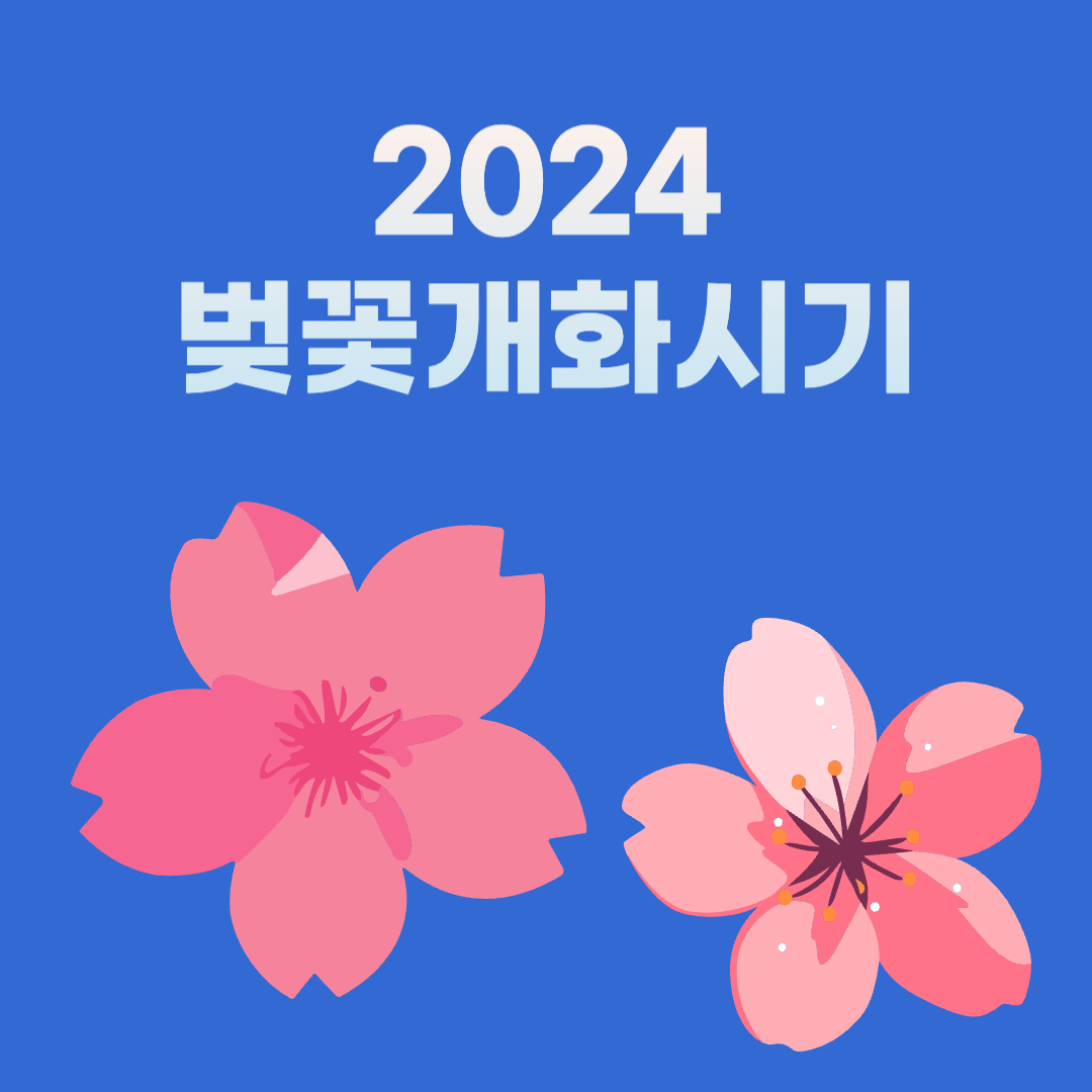  2024 벚꽃 개화시기
