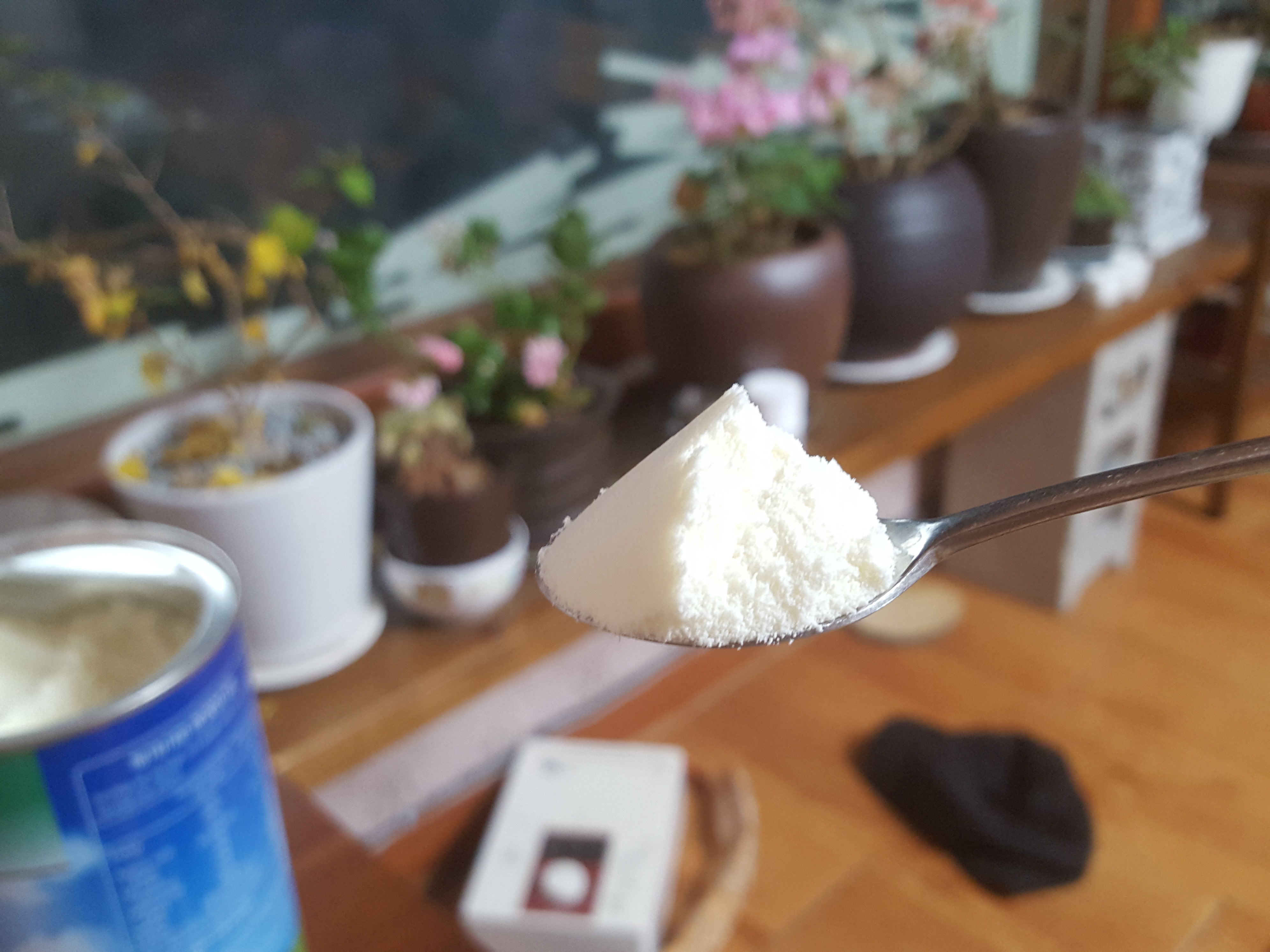  산양유 단백질 효능/부작용