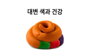  변 색깔 질문이요~ 녹색똥 검은색똥 이상해요?
