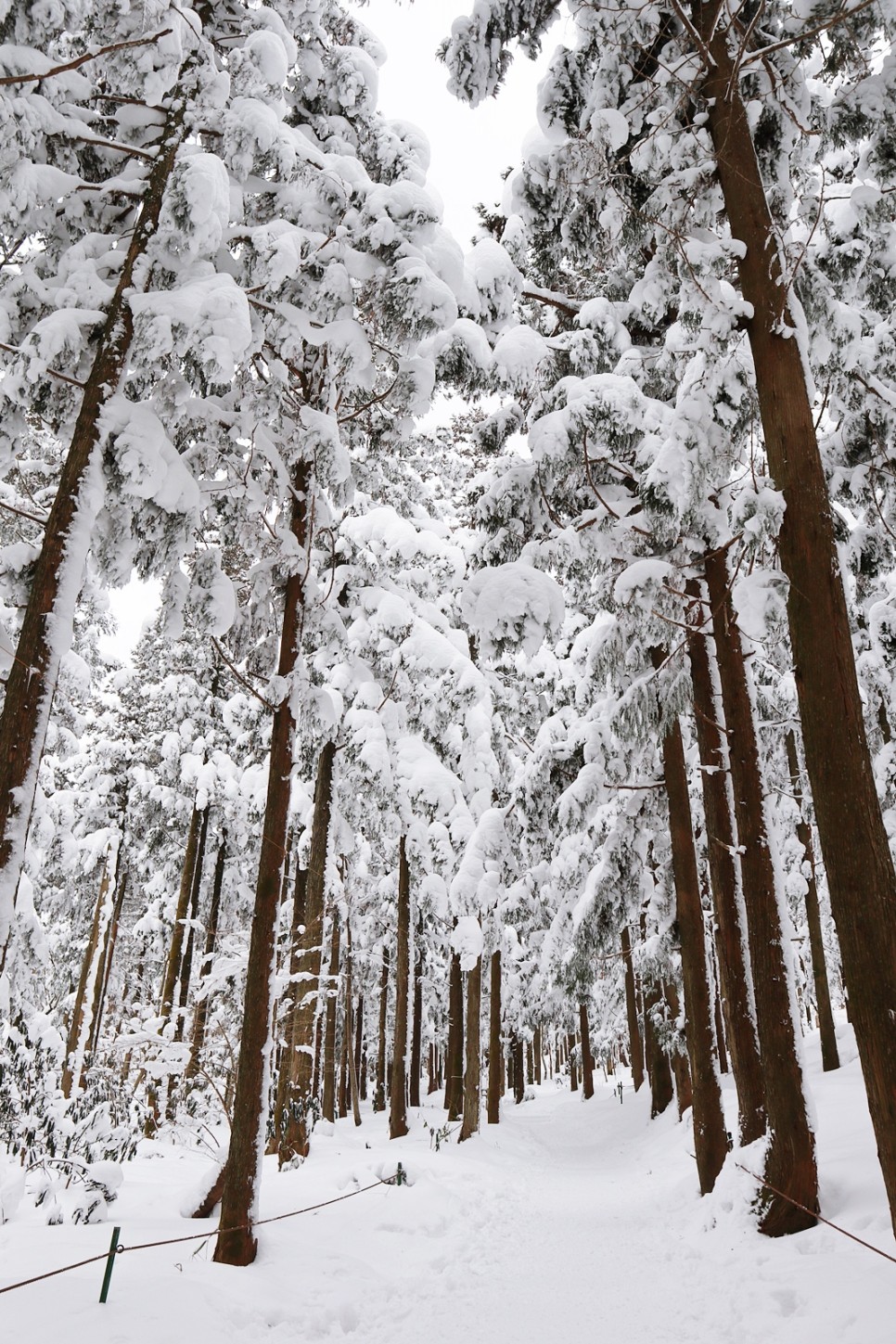 눈쌓인 겨울산 이미지 49