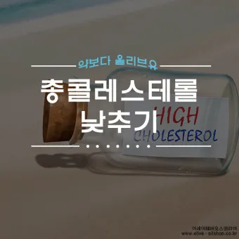 총콜레스테롤 이란 정상수치 낮추는법_11