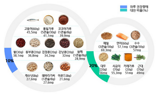 마그네슘 많은 음식표