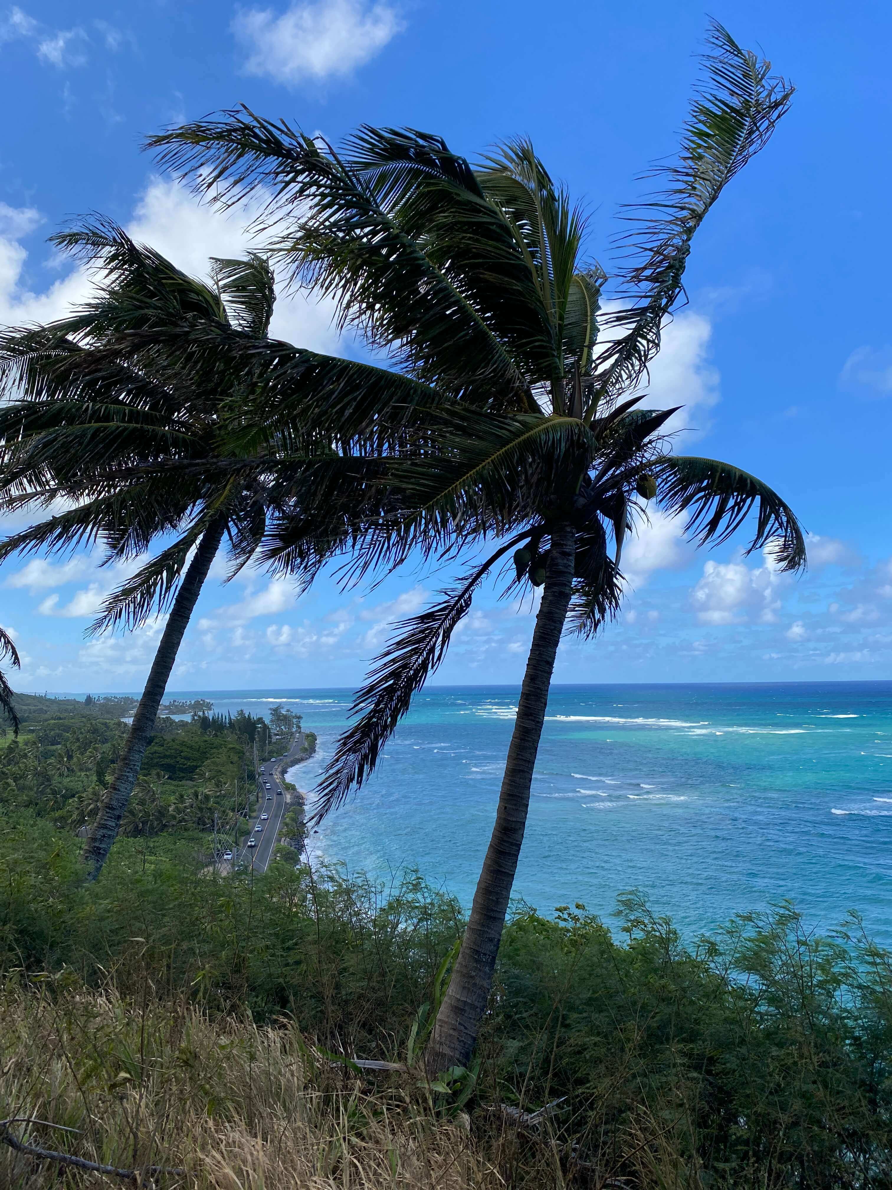 Kualoa-Ranch-beach