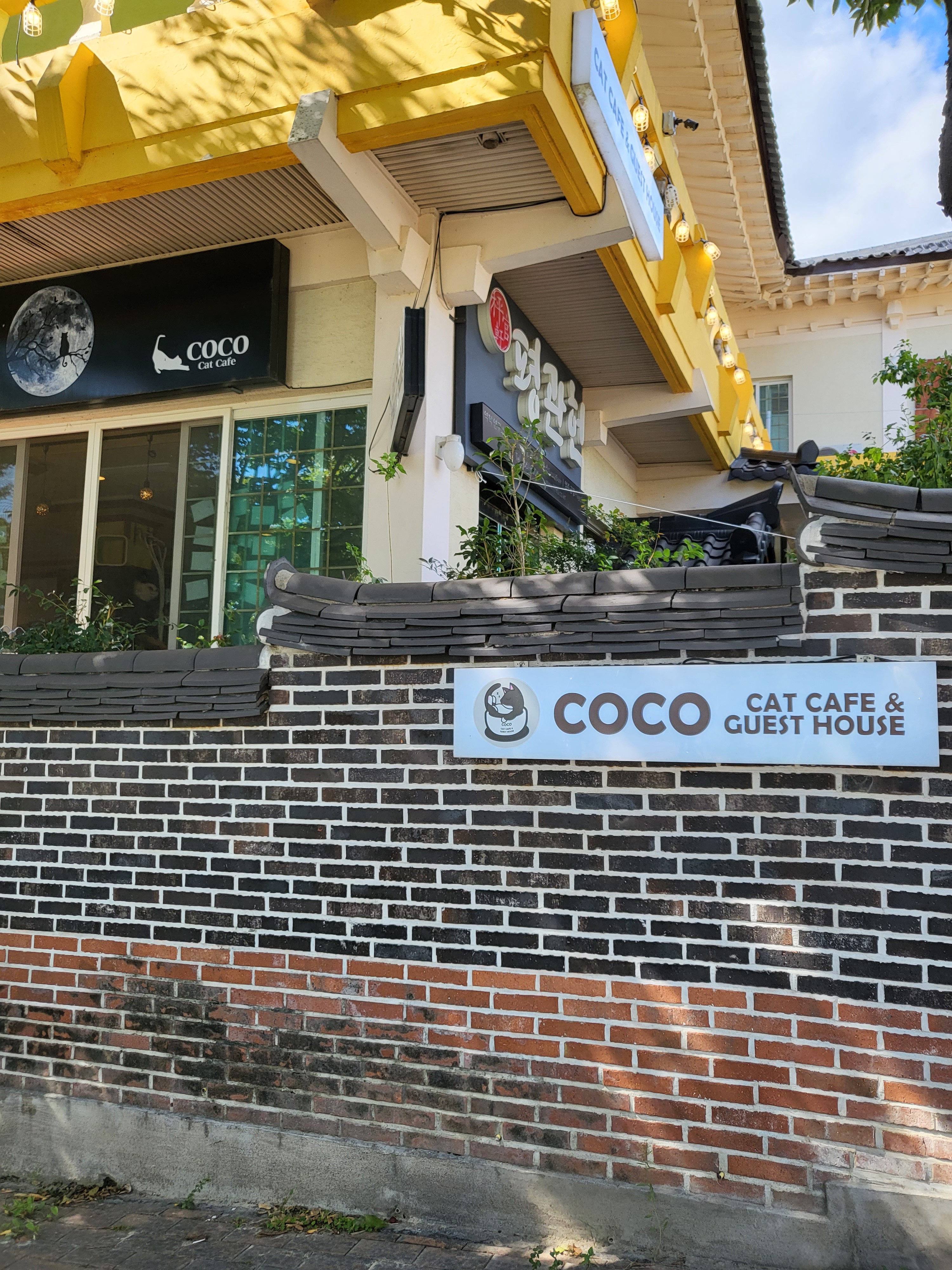  아이들과 경주 고양이 카페 코코고양이 카페
