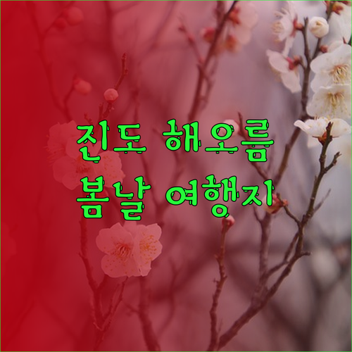 진도 해오름 펜션에서 맞이하는 따뜻한