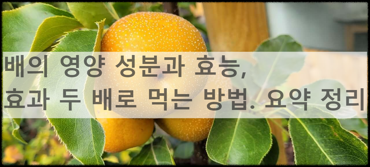 배의 영양 성분과 효능&#44; 효과 두 배로 먹는 방법. 요약 정리