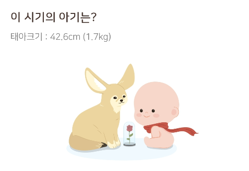  [임신32주차] 배뭉침과 조기진통, 태아발달과 배크기, 몸무게 증가 7kg