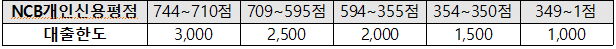소상공인정책자금