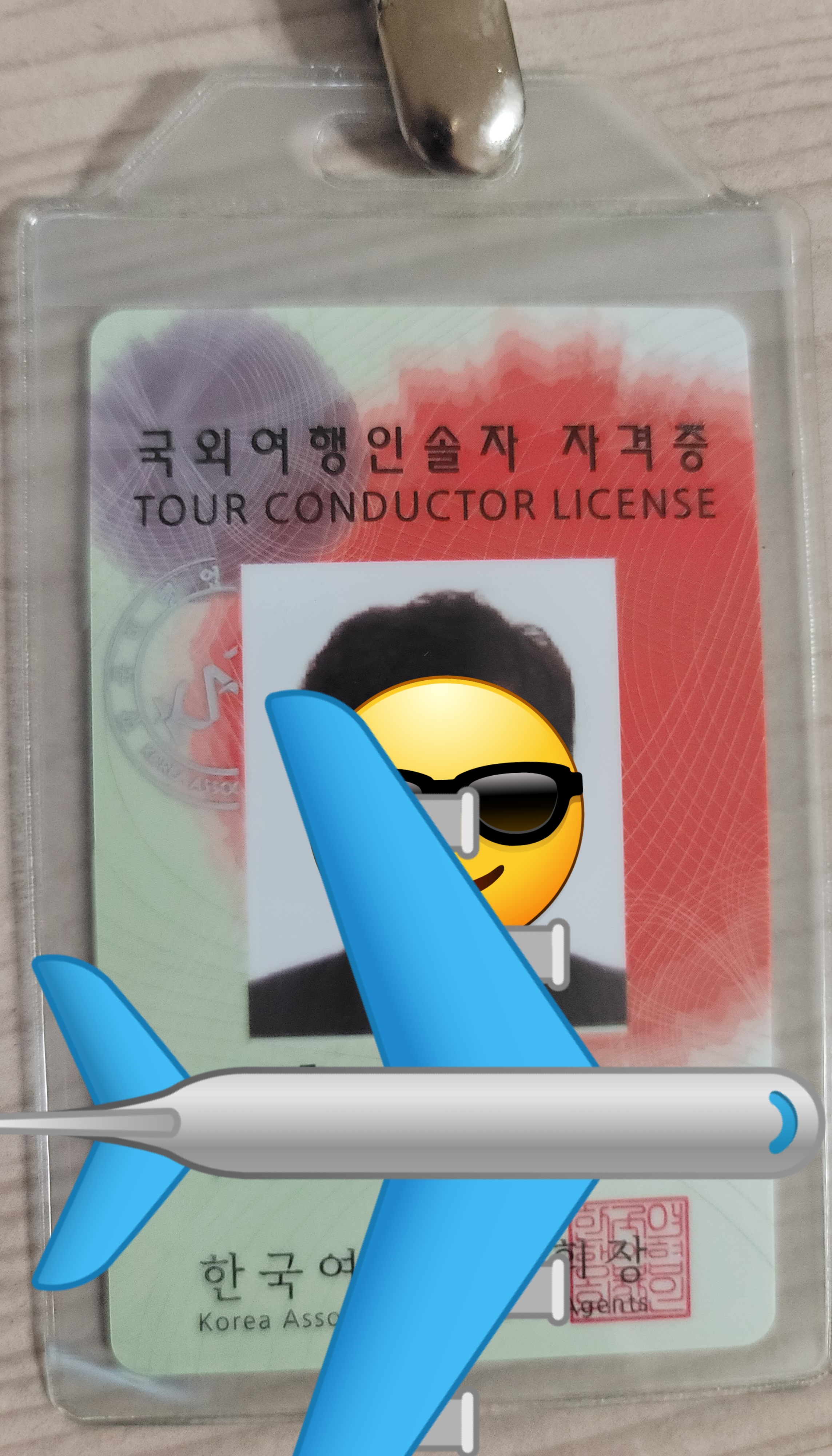  나는 국외여행 인솔자다(Feat. 아프리카, 남미)