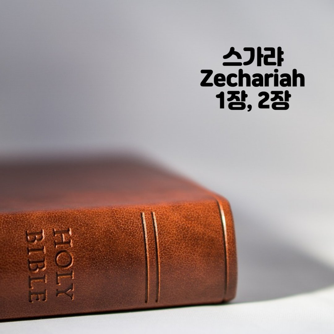 Holy BIBLE 생명의 삶 영어 한글 성경 말씀 - 스가랴(Zechariah) 1장, 2장
