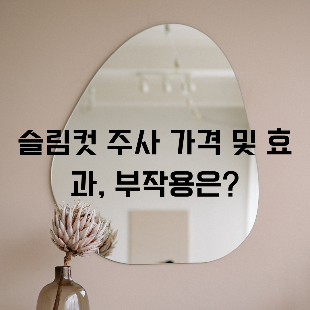 슬림컷 주사 가격