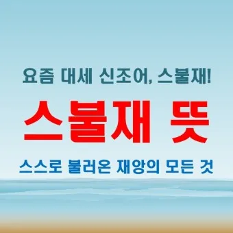 스불재 뜻 예시 의미 사용법_20