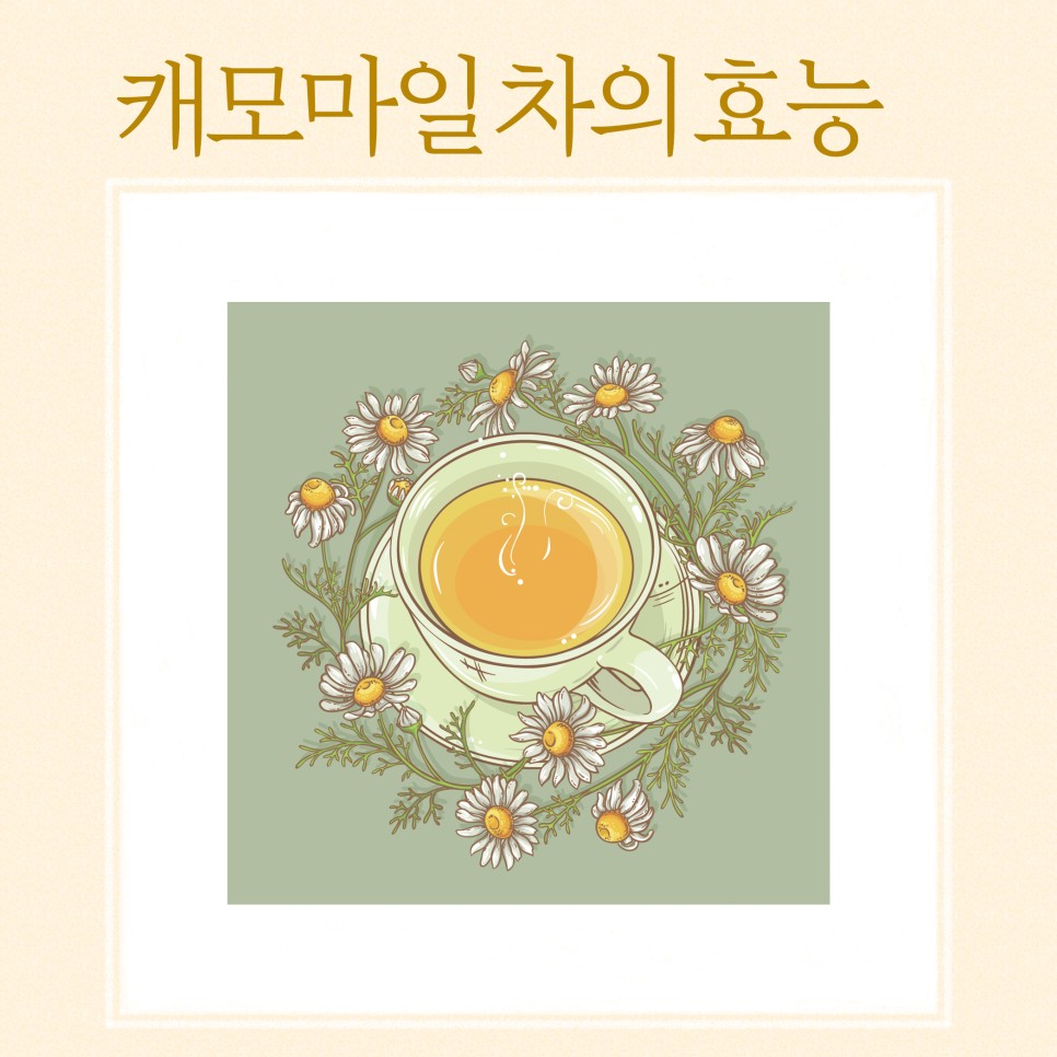 카모마일 차는 잠에 좋다.