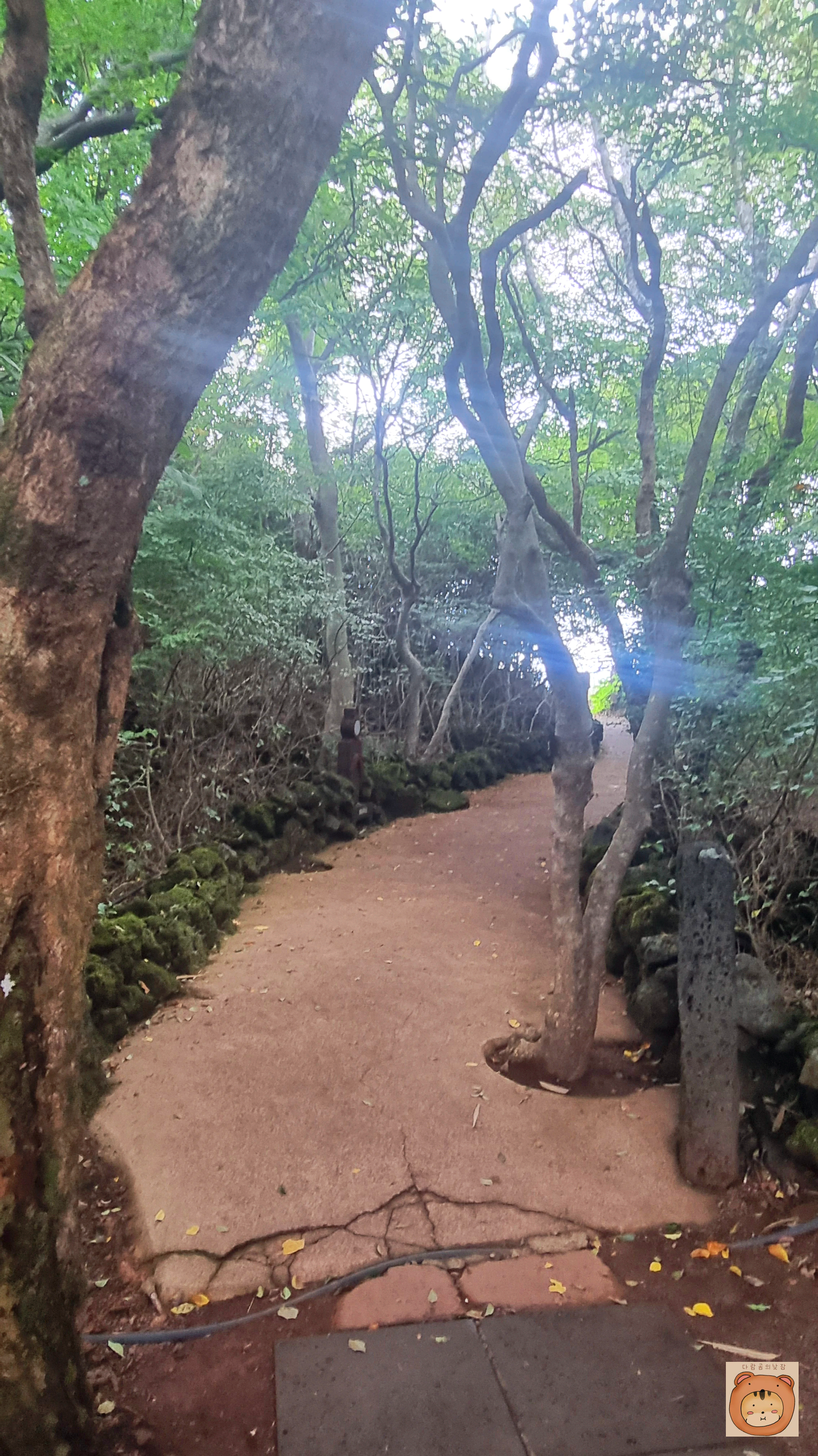 돌문화공원