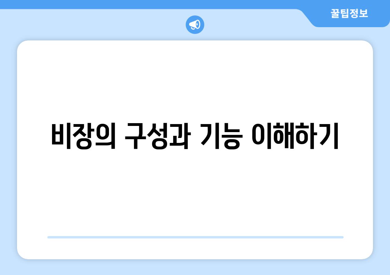 비장의 구성과 기능 이해하기