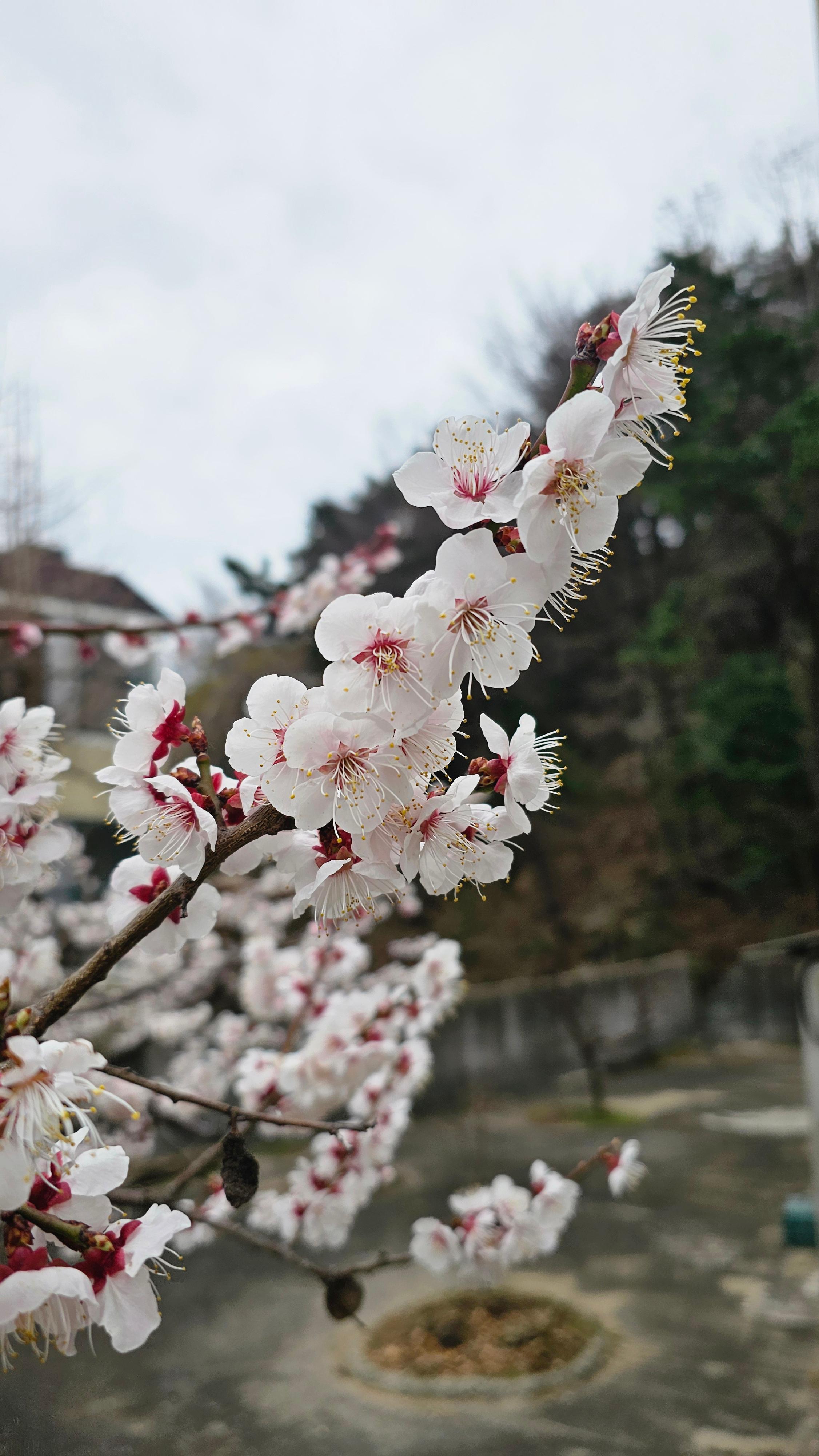 부산축산왕소금구이 본점 대표 사진