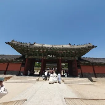 5월 창덕궁 응봉산 수도권 꽃구경 10선_16