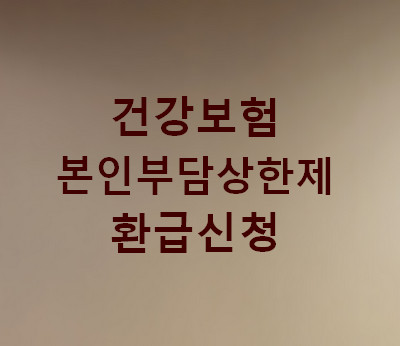 건강보험-본인부담상한제-환급금-조회