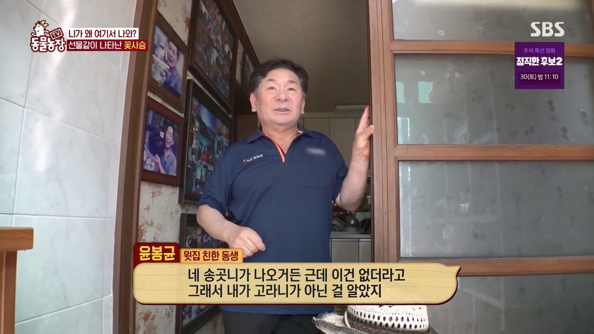 TV 동물농장.E1139.230924p.H264-F1RST.mp4_20230924_171632.914.jpg