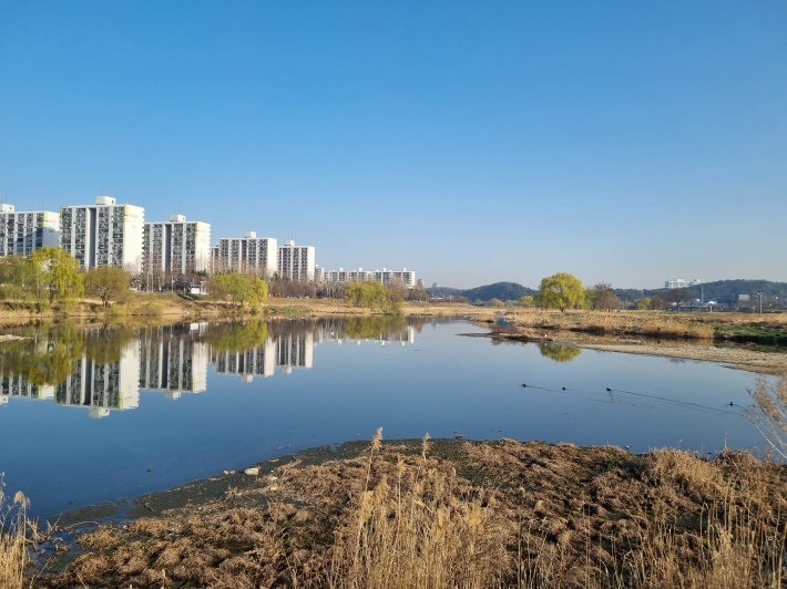 유등천과-대전천-합류지점