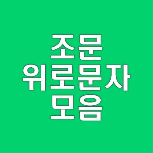 조문-위로문자-문구-모음