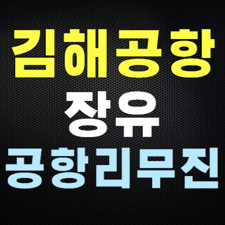 김해공항 리무진 - 장유행