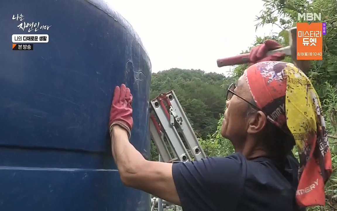 나는 자연인이다.E513.220804p-NEXT.mp4_20220804_202012.742.jpg