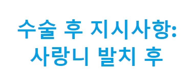 사랑니 수술 후 지시사항 입니다