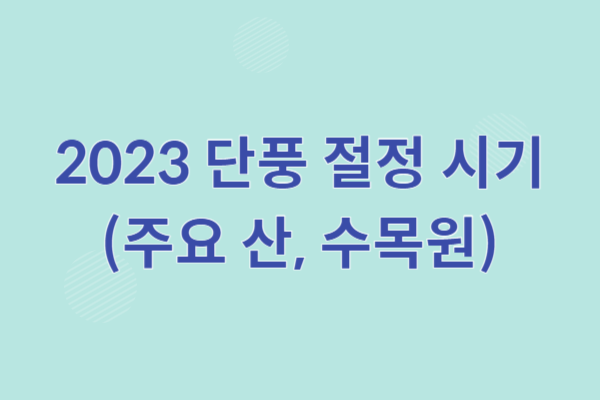 2023 단풍 절정 시기(