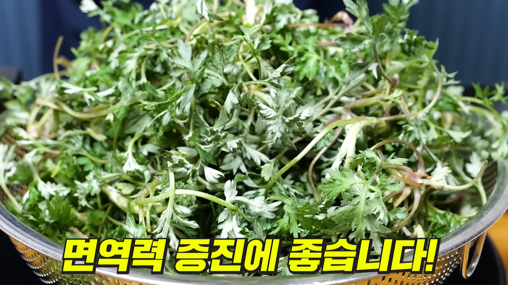 쑥국이 보약이 된다고요? 혈압·간·면역 챙기는 3가지 비법 레시피 1 img