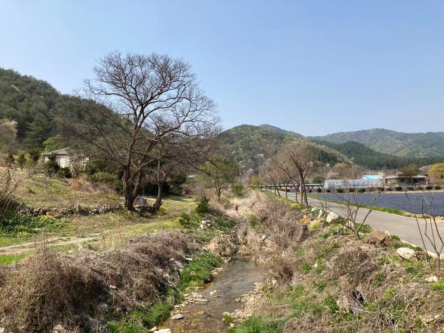  강원도 홍천 동면 귀촌 아지트 마련했어요.