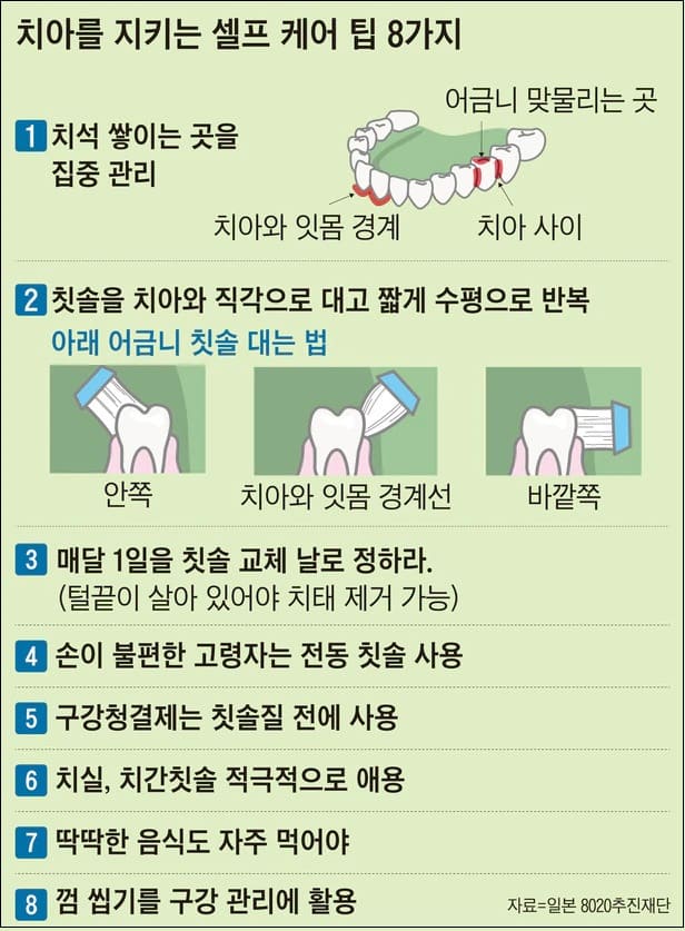 치아 80세에 20개 유지해야 장수