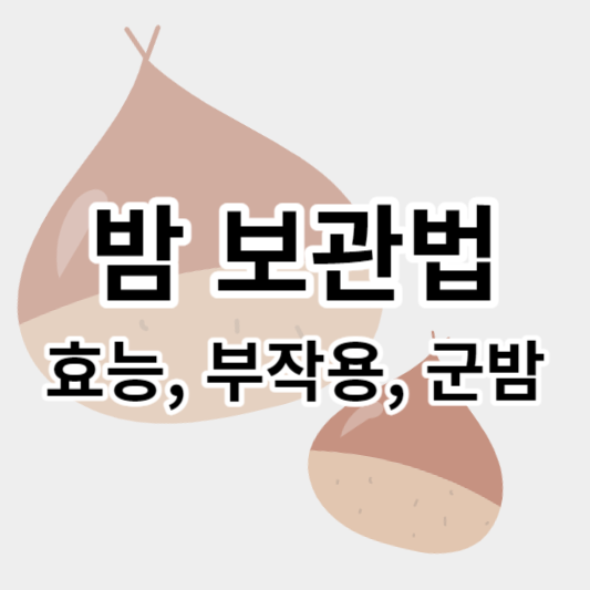 밤_보관법_썸네일