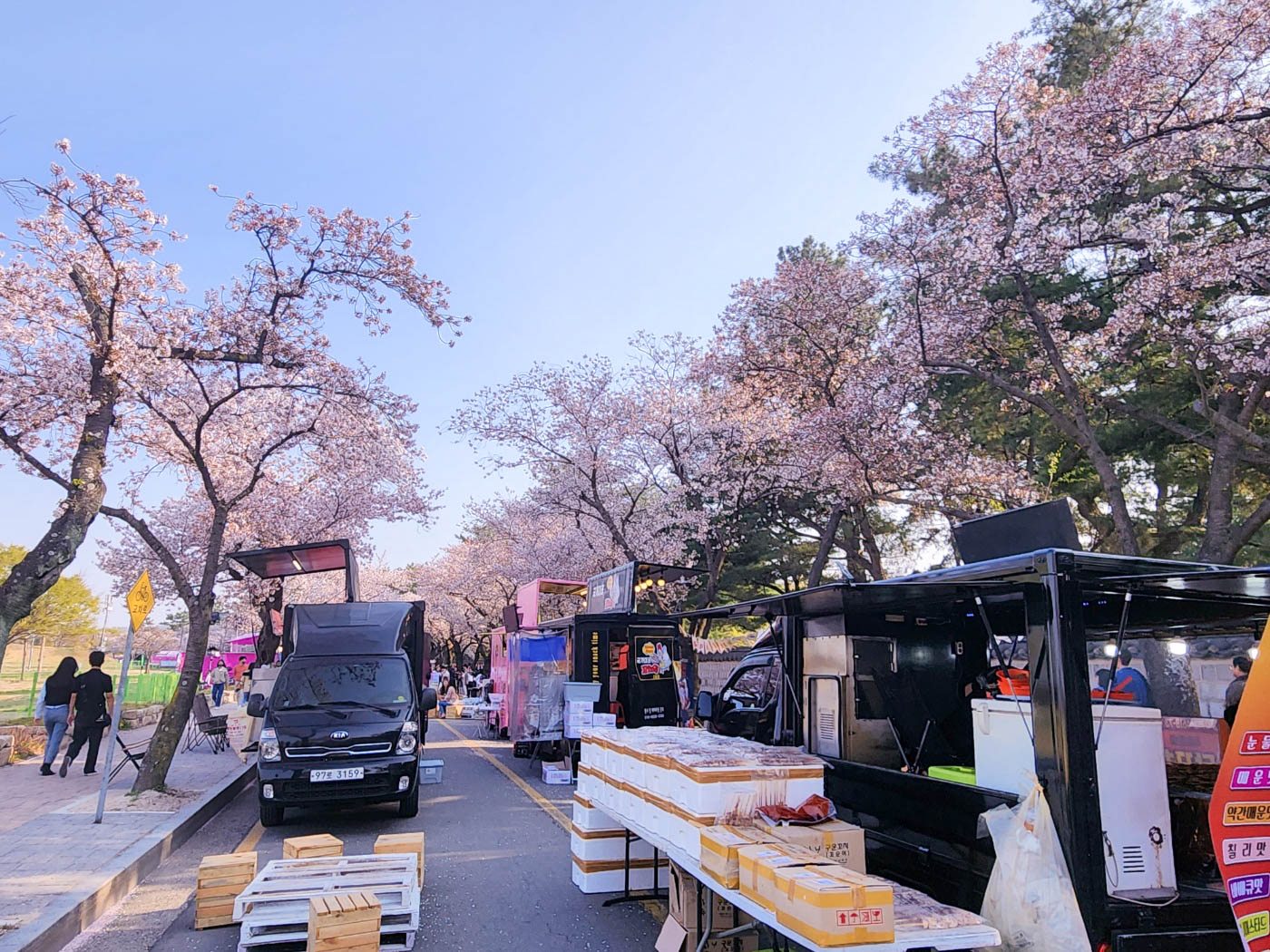 벚꽃축제-푸트트럭