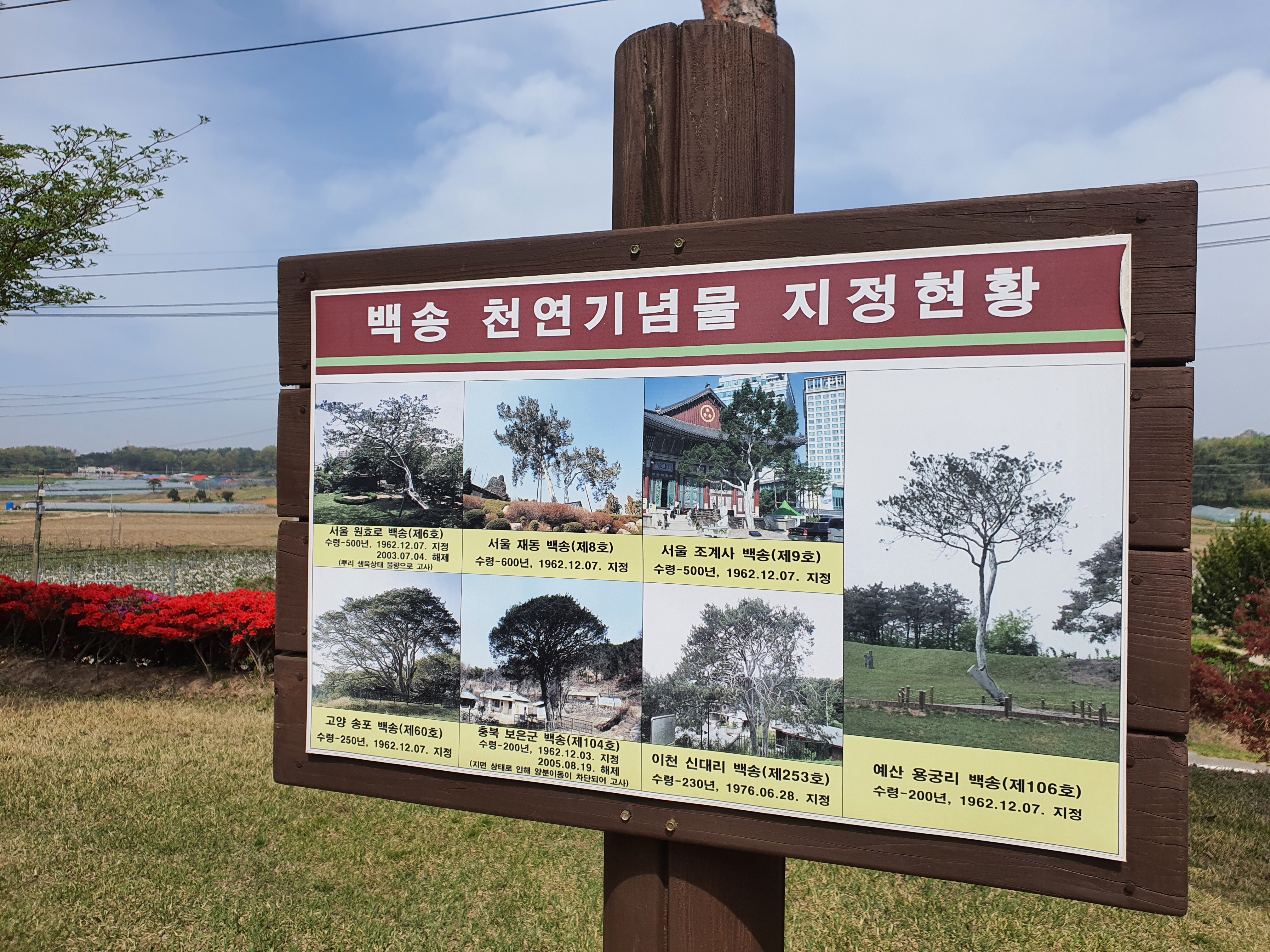 충남 예산 가볼만한곳 추사고택