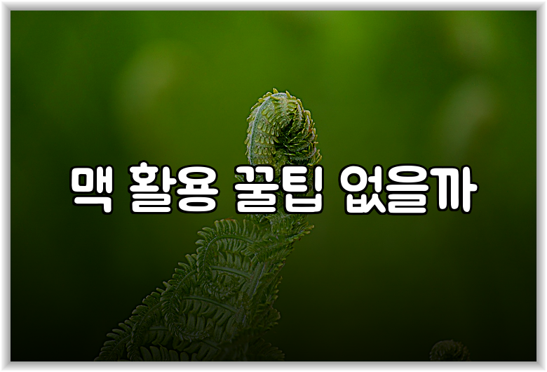 맥 활용 꿀팁 없을까