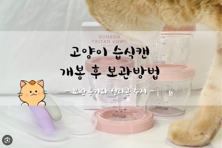 고양이 냉장약