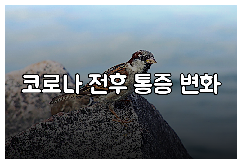 코로나 전후 통증 변화